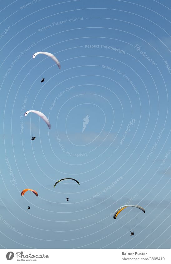 Five paragliders off the coast of San Diego, California outdoor parachute activity air background blue california cliff day extreme flight fly freedom