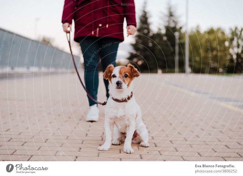 woman at the city walking with her adorable jack russell dog. Lifestyle outdoors allergic autumn care caucasian copy space corona coughing danger disease