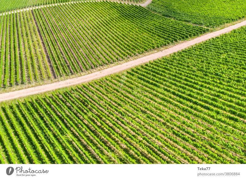 sunny vineyards from above whine vine yard whine plants grape plants grapes shadow farm farming winemaker wineyard alcohol beverage