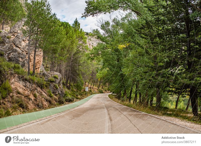 Winding roadway through mountainous forest empty nature country asphalt summer travel spain cuenca journey countryside landscape trip route path tree foliage