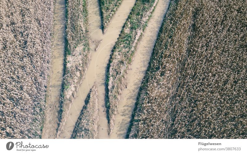 From above 3 Above aerial photograph drones droning UAV view Field Margin of a field Working in the fields Tracks Tracking track search Lanes & trails Grain