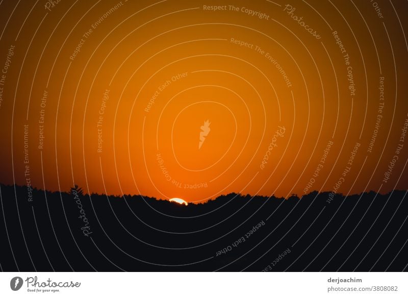 Evening mood. The sun is setting. Only a small part is still to be seen. In front is a forest and a beautiful sky. Sunset Sky Colour Nature Landscape