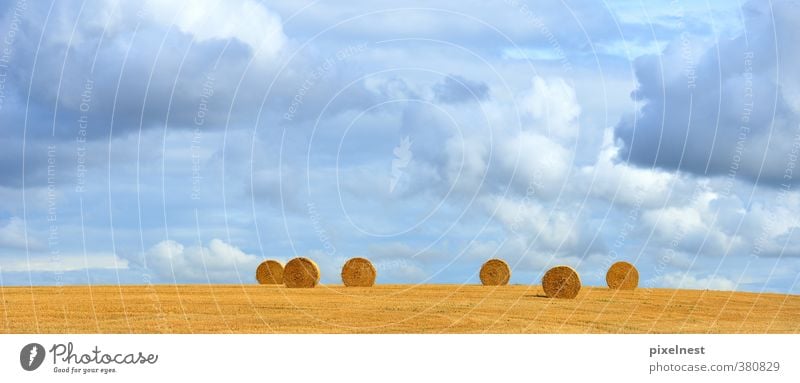 straw bale Grain Summer Agriculture Forestry Nature Landscape Plant Clouds Autumn Warmth Field Round Blue Yellow Straw Bale of straw Coil Roll of straw Hay