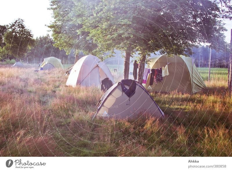 Summer tent camp with wood fire smoke, clothesline, Sweden Vacation & Travel Adventure Far-off places Freedom Camping Summer vacation Nature Beautiful weather