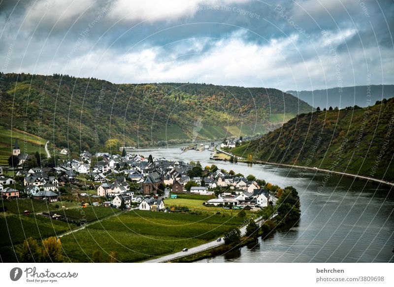 moselherbst Moselle dough Town Hunsrück Moselle valley Wine growing tranquillity Idyll River Rhineland-Palatinate Mosel (wine-growing area) River bank vine