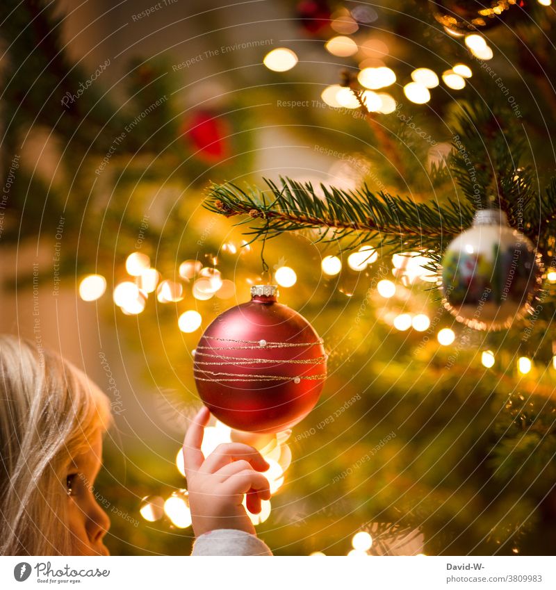 Children and Christmas fir tree Glitter Ball Christmas tree Decoration awed Anticipation Cute Joy Fairy lights Illuminate