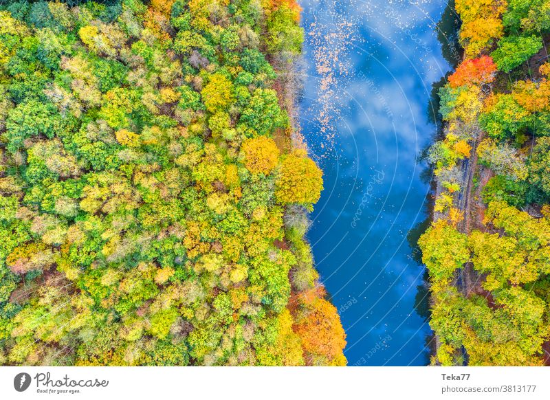 an autumn river from above fall fall river water tree trees reflection forest from above orange yellow green clouds cloudy