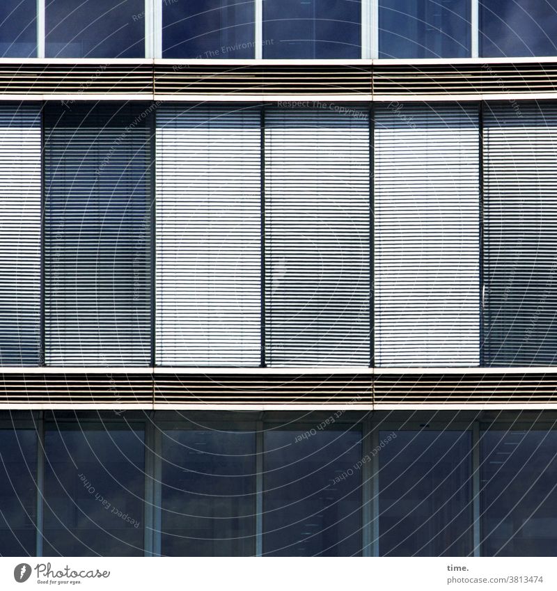 lockdown | corona thoughts Facade Window Wall (building) House (Residential Structure) Venetian blinds Closed Blue silver reflection Parallel Mysterious