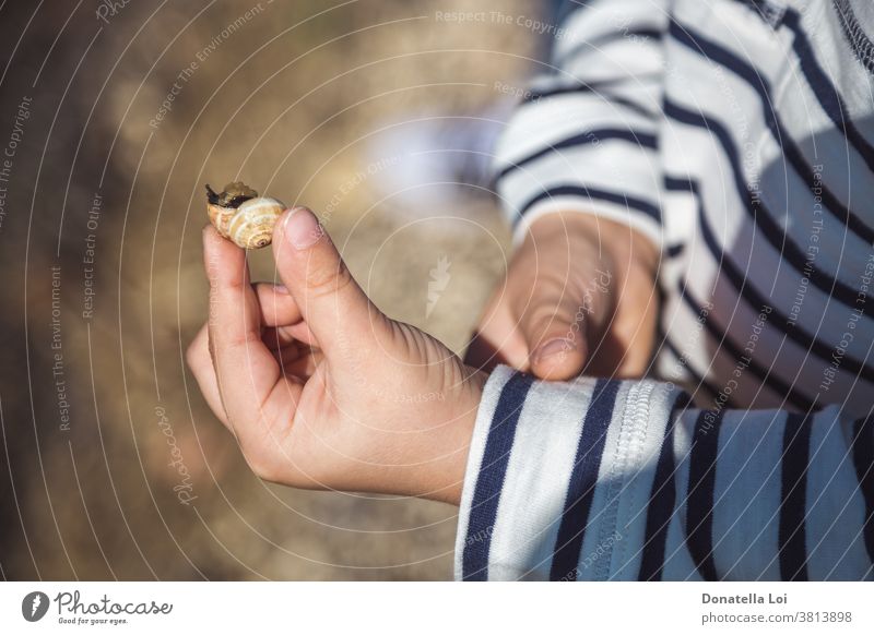 Snail in the child hands animal autumn bokeh cute differential focus fall holding horizontal little little boy nature one outdoors person slow slowly small