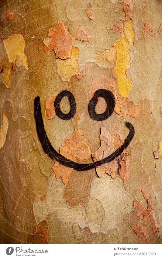 Smiley face sprayed on tree trunk Tree Tree bark Tree trunk Nature Autumn Environment Brown Yellow Black Wood Exterior shot Detail