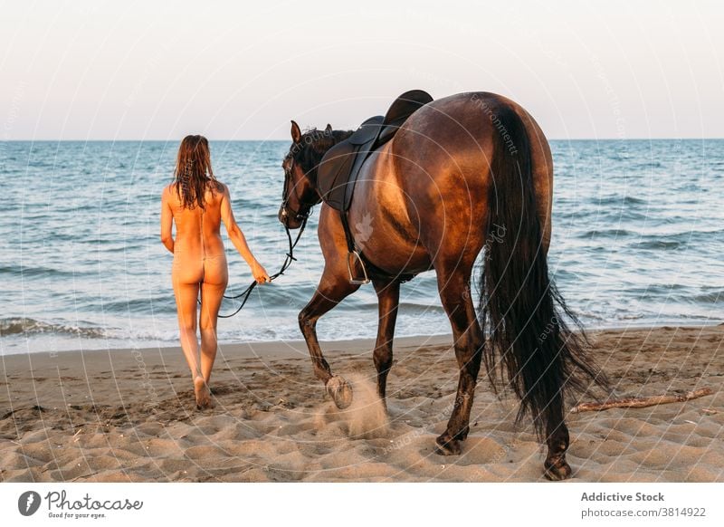 Beautiful nude woman walking on the beach with her horse at sunset image