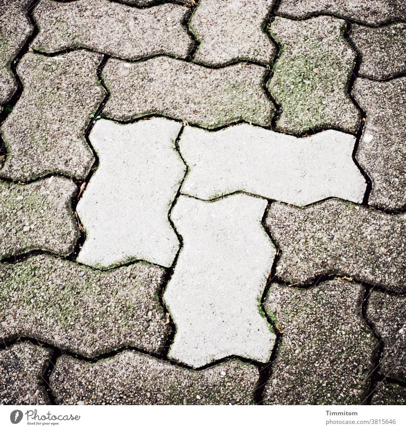 Special feature in the paving Paving stone off Deserted Interlocking paving stone Many three White Moss Colour photo Stone conspicuous