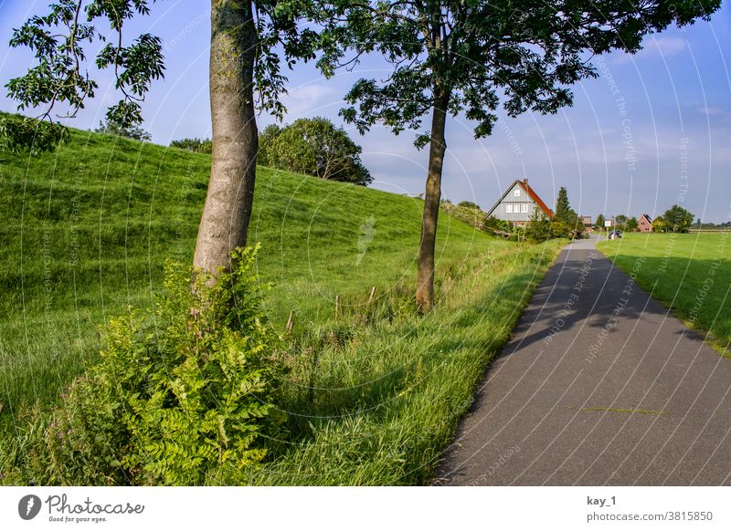 Path along the dike with trees on the wayside and houses on the horizon Lanes & trails off Nature Landscape Summer Exterior shot Tree Deserted Street