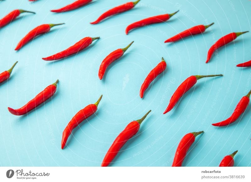 hot red chili, on blue background vegetable chilli fresh paprika food ingredient organic ripe isolated pepper white spice studio healthy mexico macro kitchen