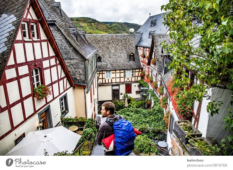 moselle stories Autumn Seasons Autumnal Moselle valley Hunsrück Mosel (wine-growing area) River bank Lanes & trails Rhineland-Palatinate Vineyard Hiking