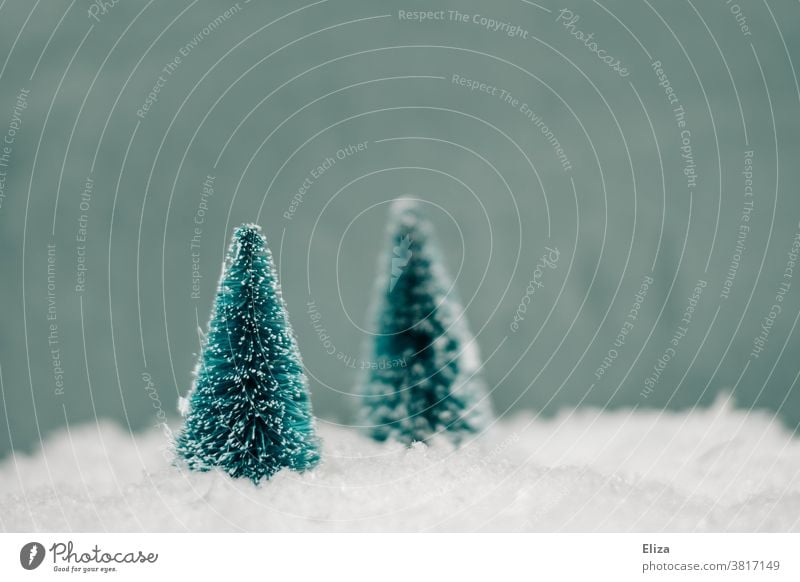 Wintry miniatures of two fir trees in the snow Snow Winter Christmas firs White Cold Forest white christmas Seasons Nature Miniature Artificial phoney snowy