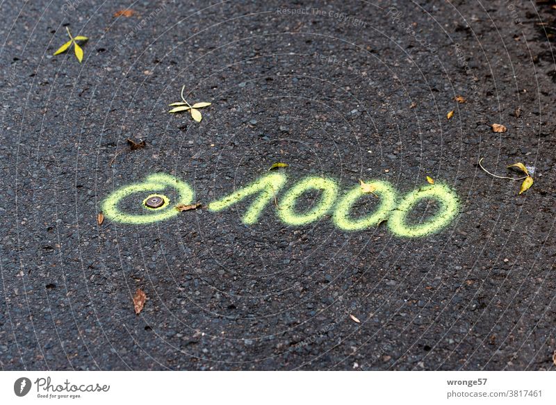 Measuring point and the number 1000 sprayed with paint on black asphalt and marked measuring point Street Asphalt Colour signal colour Pavement