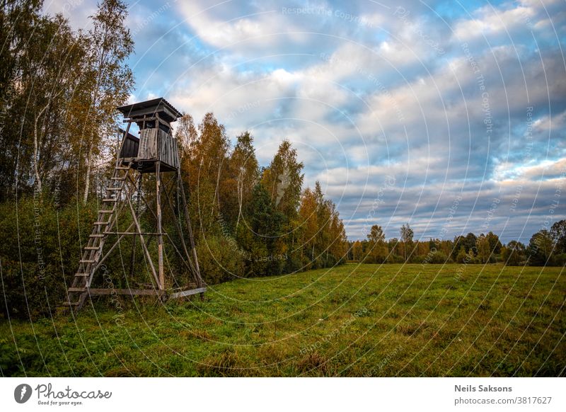 wooden hunting tower in meadow near autumn forest sky nature grass tree green blue landscape house field hunter old hut summer clouds view ladder cabin spring