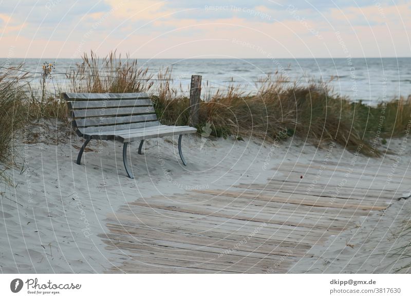 Park bench on the dune off the North Sea Beach duene Beach dune Ocean Bench