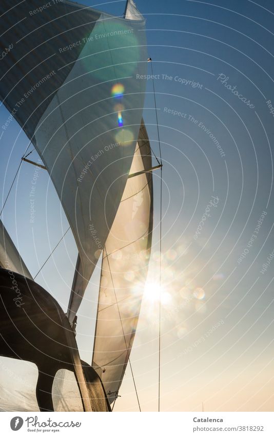 The sail of the yacht inflates in the wind and partially hides the sun Sail Pole Sailboat Wind Sailing Aquatics Sky Sun Sunbeam Blue White Day holidays Freedom