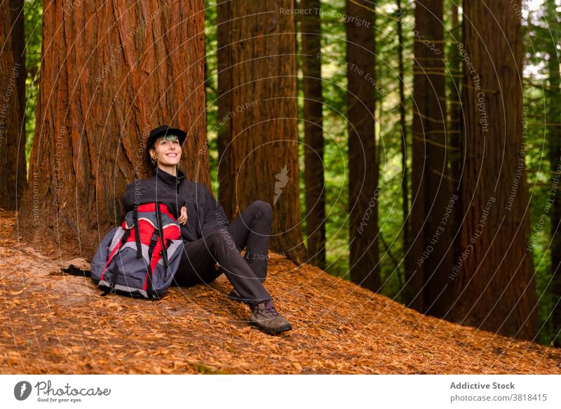 Relaxed traveler near tree in woods huge forest relax explorer backpack monte cabezon natural monument of sequoias trekking cantabria spain hike vacation trip