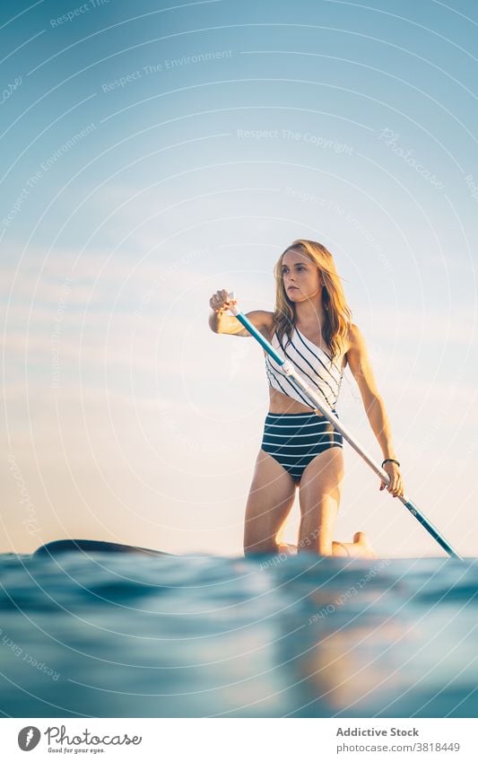 Women rowing on paddleboard in sea woman sup sunset swimsuit vacation summer ocean relax water holiday weekend enjoy evening nature water sports sunlight