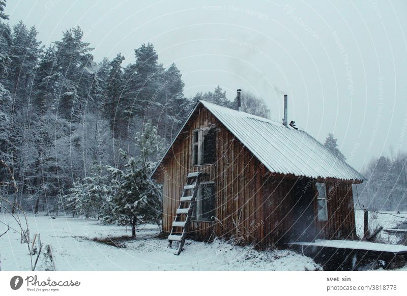 A small wooden building (bathhouse) with a smoking chimney in the village against the background of a pine forest during a snowfall. Rural landscape in snowy weather.