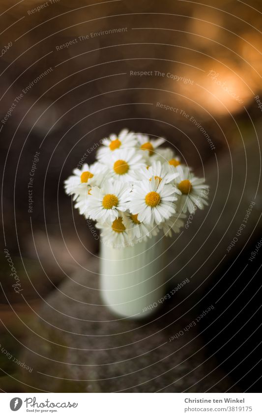 A small bouquet of daisies in a white vase stands on the edge of an old stone trough. Background with shallow depth of field and bokeh. Daisy Bouquet Happiness