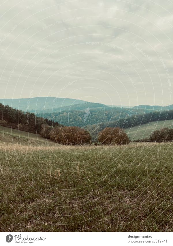 Odenwald Hill Landscape Empty Forest Clearing Green Grass Grassland cloudy Clouds in the sky Horizon mountain landscape void silent clearing Hesse Germany