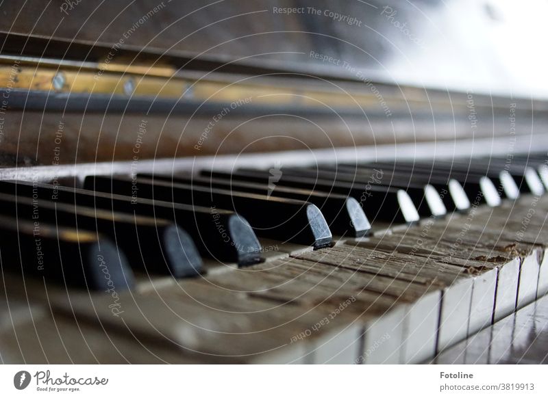 Well, hit the keys! - or an ancient piano that has long left its best days behind but still makes a sound. albeit crooked. Piano fumble Keyboard Music