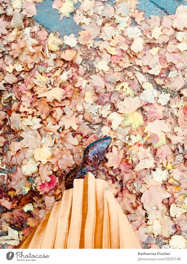 autumn impressions, leather boots and pleated skirt on autumn leaves Bird's-eye view Footwear Exterior shot Day Feet Legs Colour photo Floor covering Red Stand