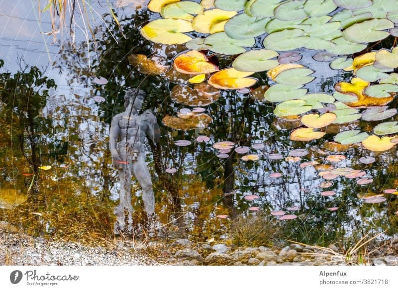 Selfie with water lilies Pond Water lily Water lily pond Exterior shot Plant Water lily leaf Colour photo Statue Lake Statues Deserted Reflection Autumn