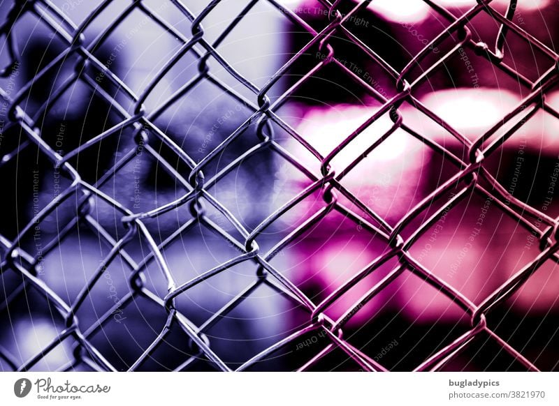 Double mesh in front of a blurred background in pink and purple/ violet Wire netting fence Fence Wire fence Safety Protection Barrier Border Bans Captured