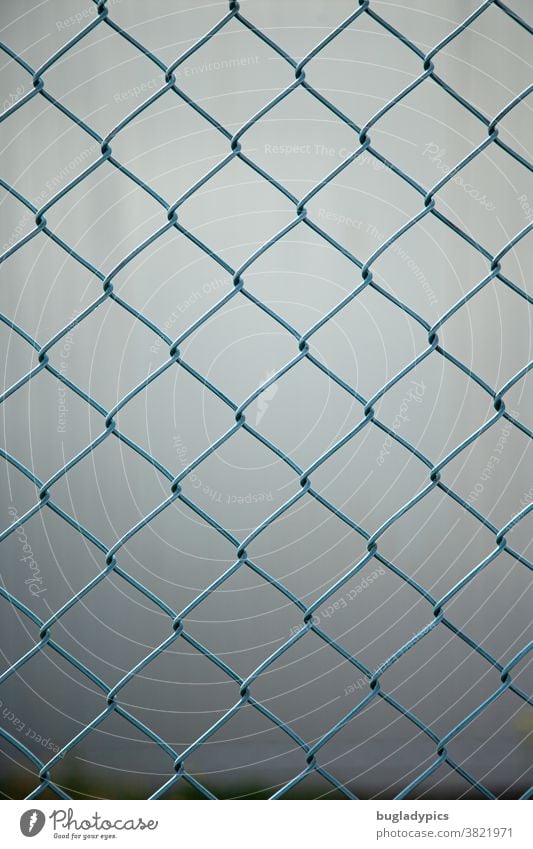 Blue wire mesh fence against a blurred grey background Wire netting fence Fence Metal Metalware Divide Border demarcation Gray Boundary line Safety Wire fence