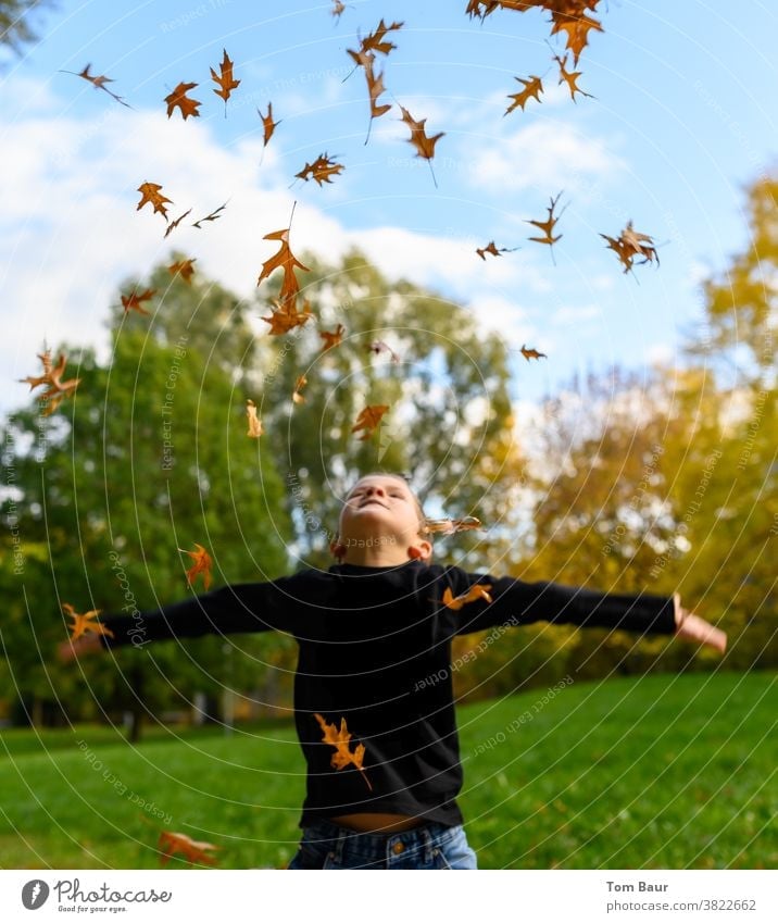 Boy throws yellow orange coloured leaves in the park Autumn leaves Child Boy (child) look up to the sky Blue sky Worm's-eye view Oak leaf leaves fall Autumnal