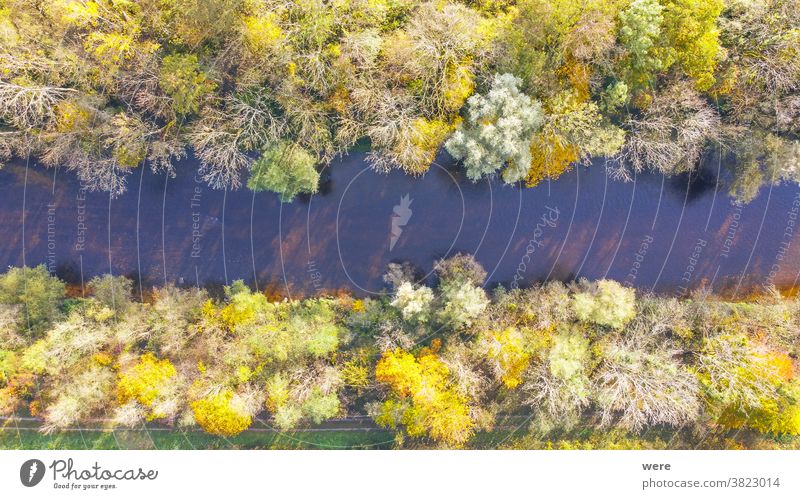 View from above on the autumnally coloured foliage of the Wertachauen near Hiltenfingen Flight area Autumn panorama view Aerial photograph pretty