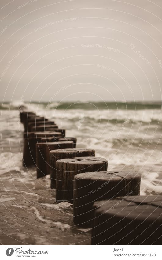 Waves crash against the wooden groynes in the Baltic Sea Beach Ocean coast Wood Water Gale Break water Sky Gray Bad weather Mecklenburg-Western Pomerania