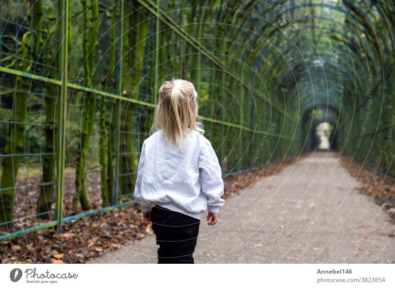 little cute blond child walks alone in a tunnel road in a park, beautiful green forest wearing grey hoodie childhood young small autumn cheerful spring person