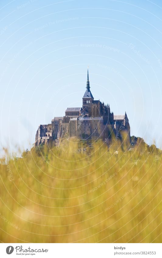 Mont Saint Michel, island monastery in France, blurred grass hill in the foreground mont saint michel Mont St Michel Vacation & Travel Tourist Attraction Church