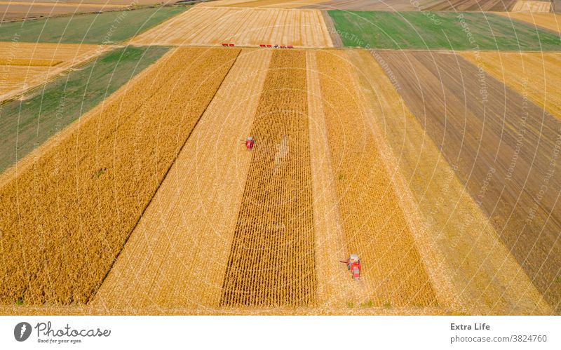 Aerial view of two combines, harvester machines are harvest ripe maize Above Agricultural Agriculture Agronomy Cereal Combine Corn Cornfield Country Crop