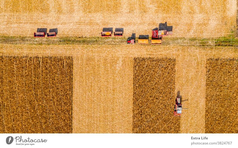 Above top view on team of agricultural harvesters as they are harvesting mature corn on farm field, cornfield Aerial Agricultural Agriculture Agronomy Cargo