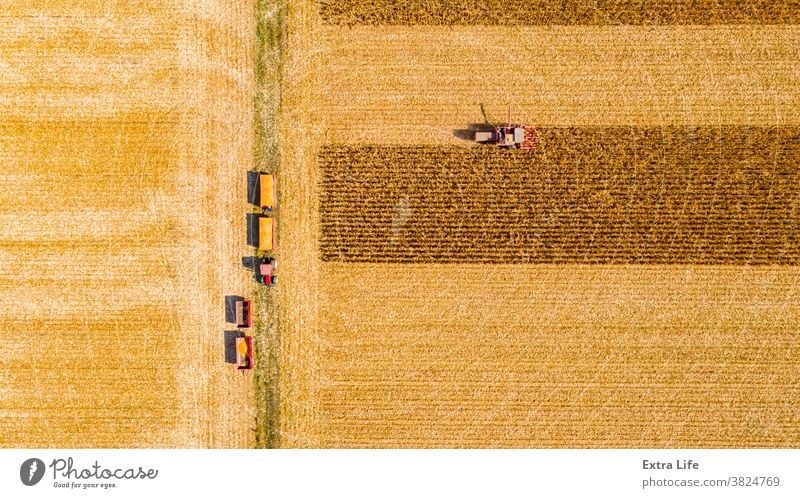 Above view on combine, harvester machine, harvest ripe maize Aerial Agricultural Agriculture Agronomy Cereal Combine Corn Cornfield Country Crop Cultivated