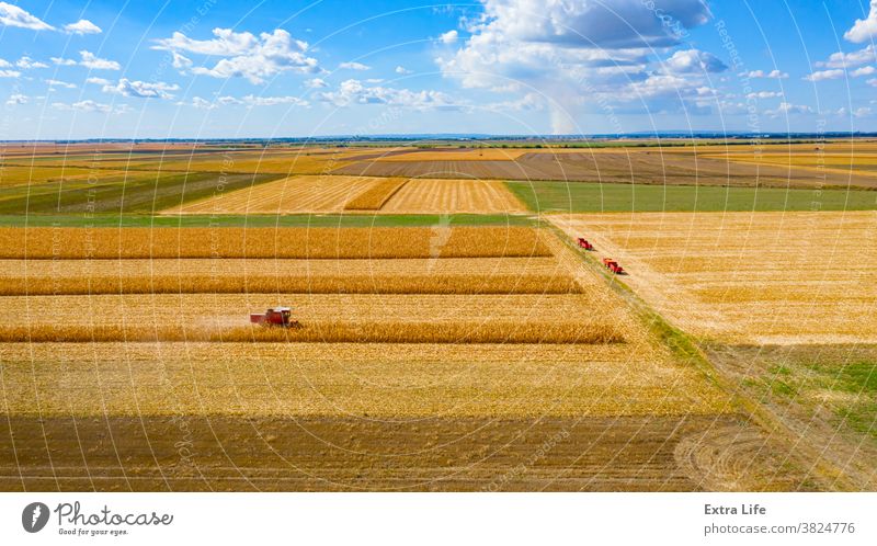 Aerial view of combine, harvester machine harvest ripe maize Above Agricultural Agriculture Cereal Cloudscape Combine Corn Cornfield Country Crop Cultivated