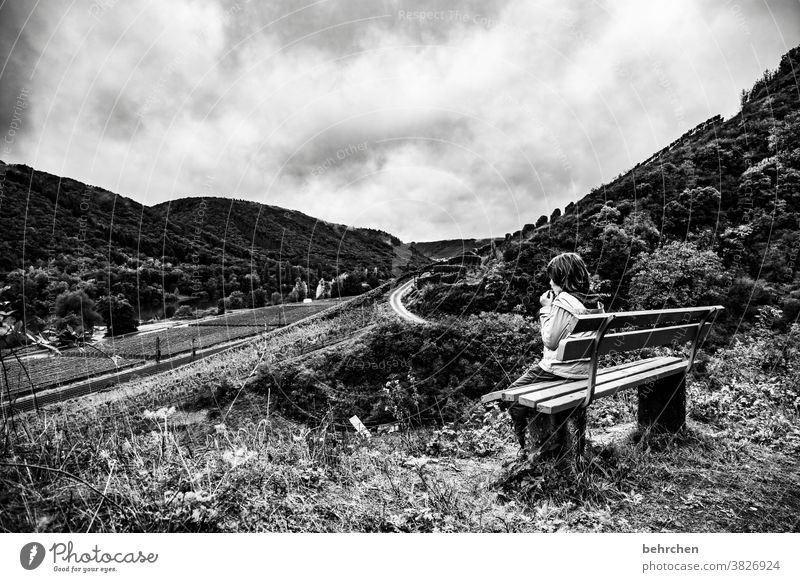 gray in gray | still beautiful Dark Black & white photo Dramatic Vacation & Travel Forest Sky Clouds Environment Landscape Mountain Hiking Nature Exterior shot