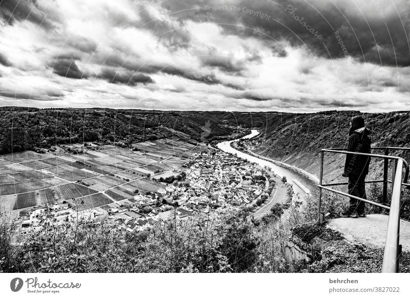 when the distance is very near Lanes & trails Impressive outlook Vantage point Dark Dramatic Black & white photo Vacation & Travel Forest Hiking Nature