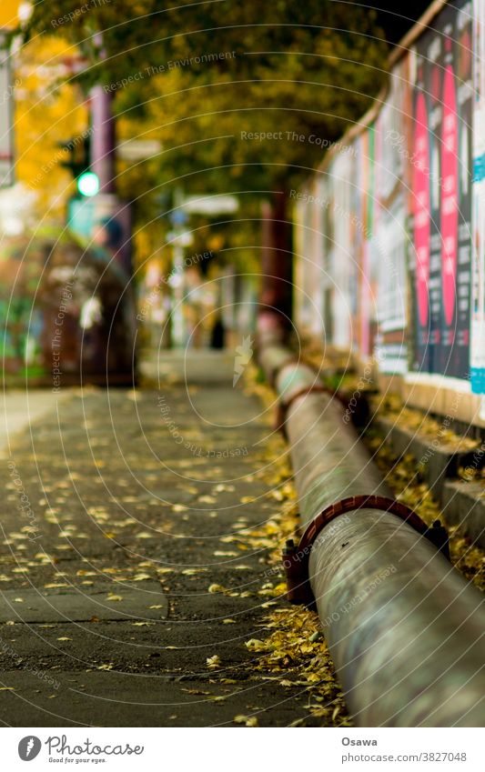 Pipe at the edge of the sidewalk conduit tube Transmission lines Sidewalk off trottoir Street water pipe trees Autumn leaves Mood Green Yellow Posters