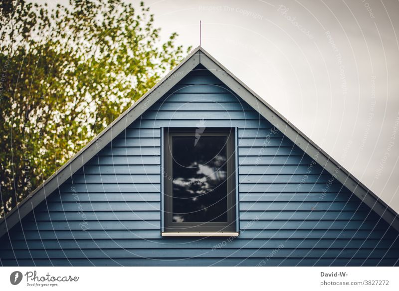 Blue wooden house with skylight House (Residential Structure) Wooden house Swedish house Skylight Tree