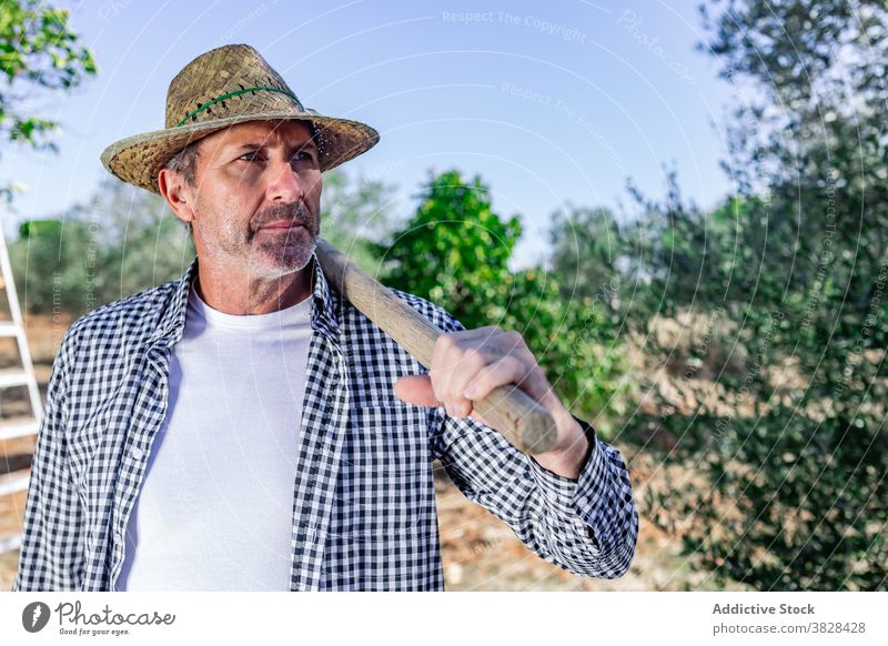Serious mature farmer in green vegetation in plantation man serious agronomy confident agriculture worker harvest job male countryside stand tree straw hat