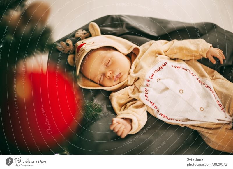 A cute newborn baby boy in a reindeer costume sleeps on a pouf in a room decorated for Christmas and New year. A child sleeps next to a Christmas tree on New year's eve. The concept of Christmas and the New year. Celebration, decoration, greeting card, ...