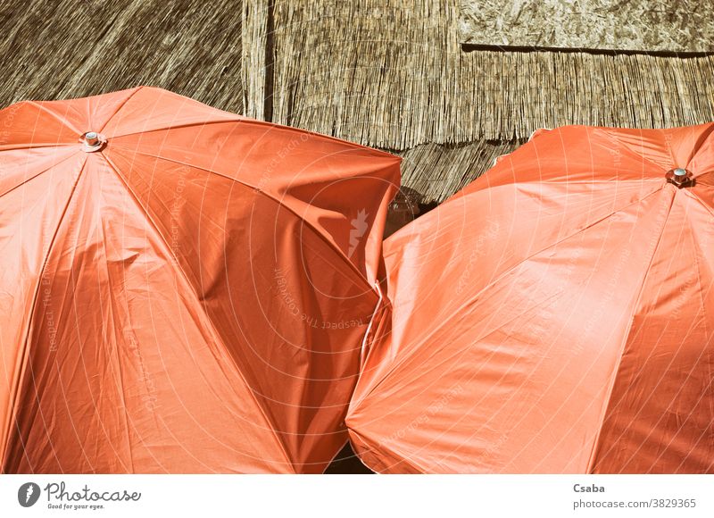 High angle view of orange colored umbrellas parasol open colorful object high angle view closeup sunny close-up outdoors protection protective summer sunshade